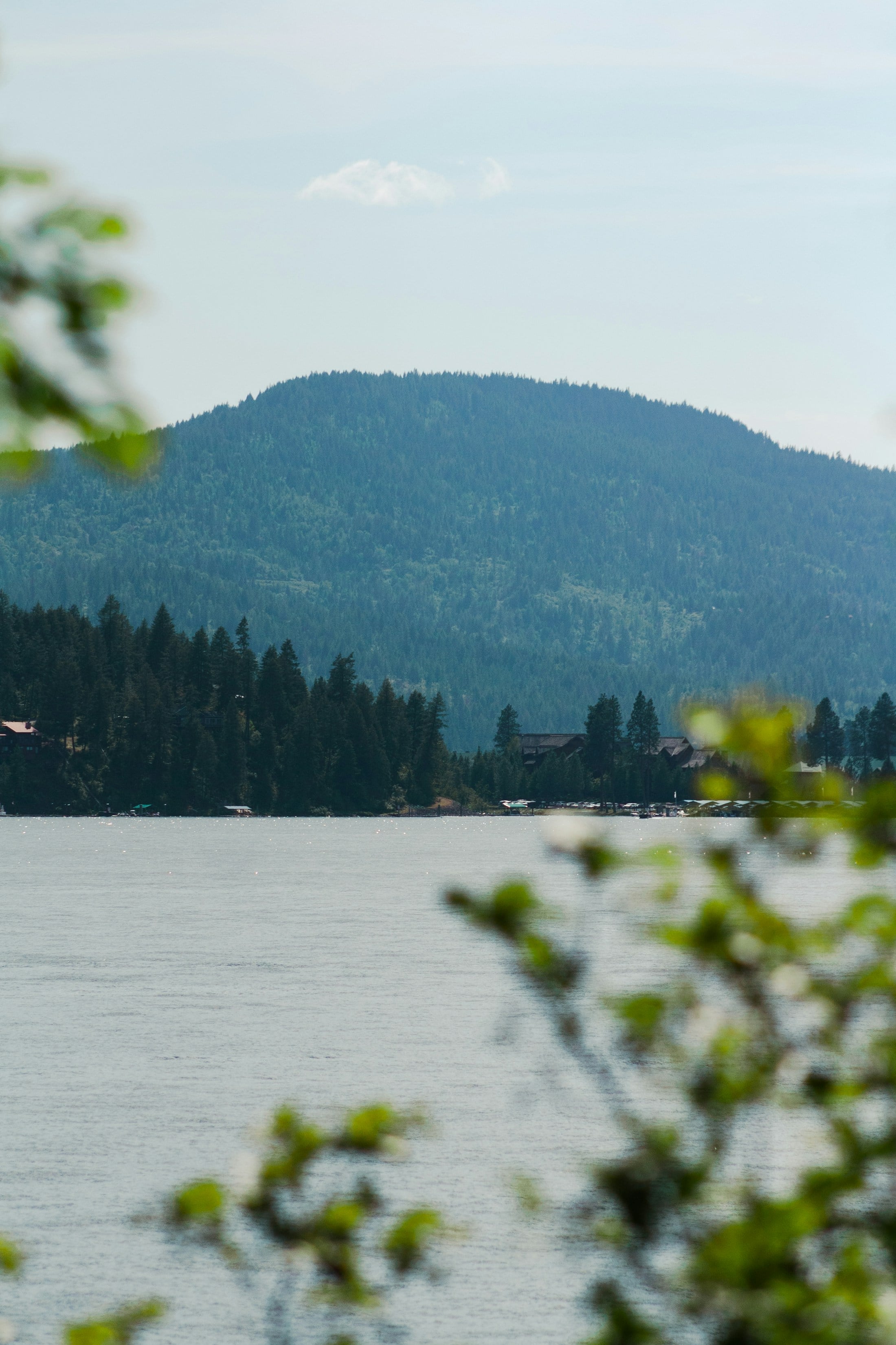 Lake Coeur d’Alene with wooded hills and pine trees along the shoreline